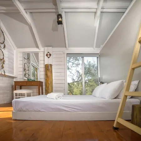 Kamp alanı Terra Vine Collection - Fairytale *