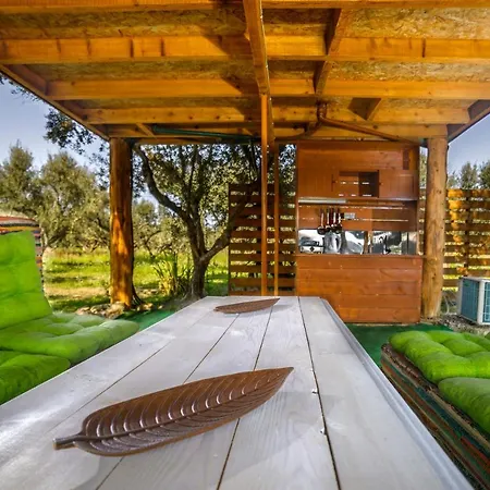 Kamp alanı Terra Vine Collection - Fairytale