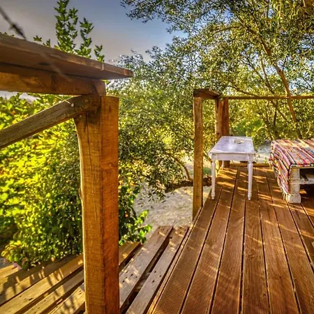 Terra Vine Collection - Fairytale