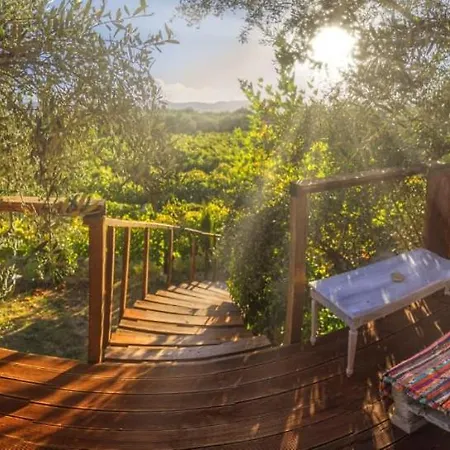 Terra Vine Collection - Fairytale *