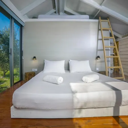 Camping Terra Vine Collection - Fairytale *