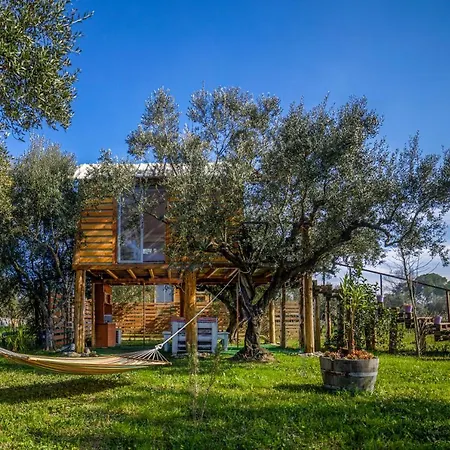 Terra Vine Collection - Fairytale Koukounariá